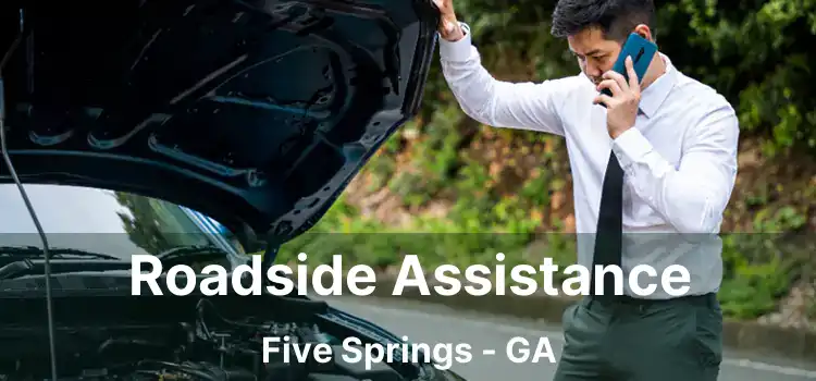 Roadside Assistance Five Springs - GA